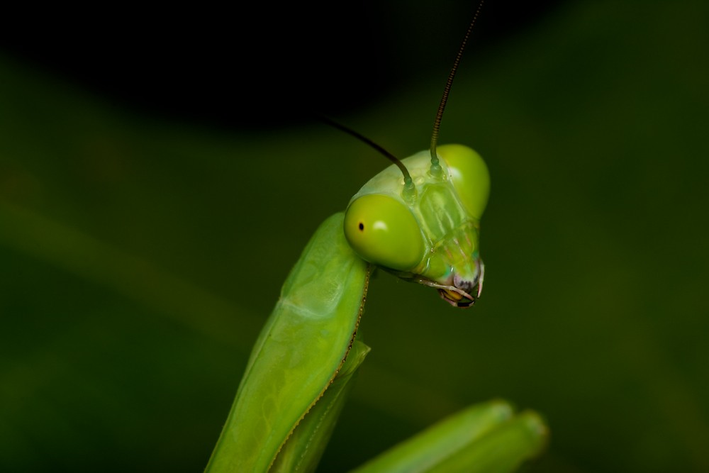 DSC_8016.jpg