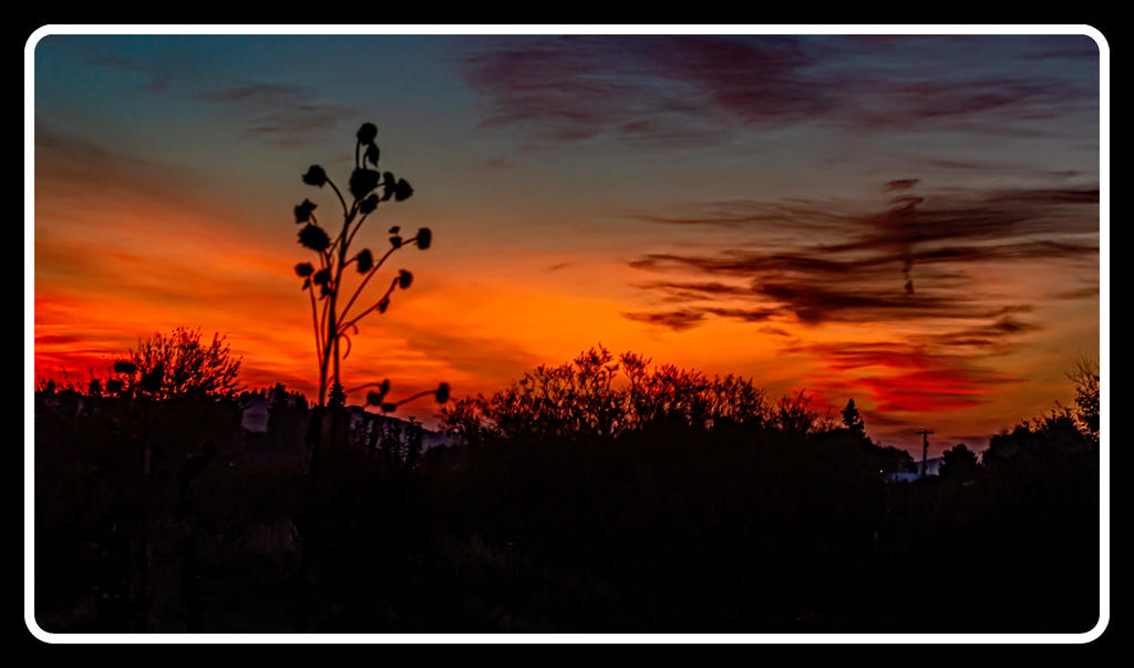 DSC_8017-Edit.jpg