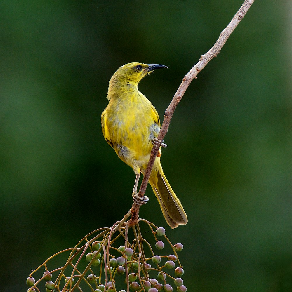 DSC_8017.jpg