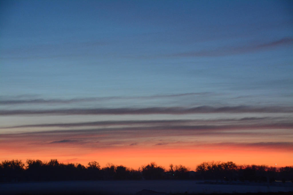 DSC_8019.jpg