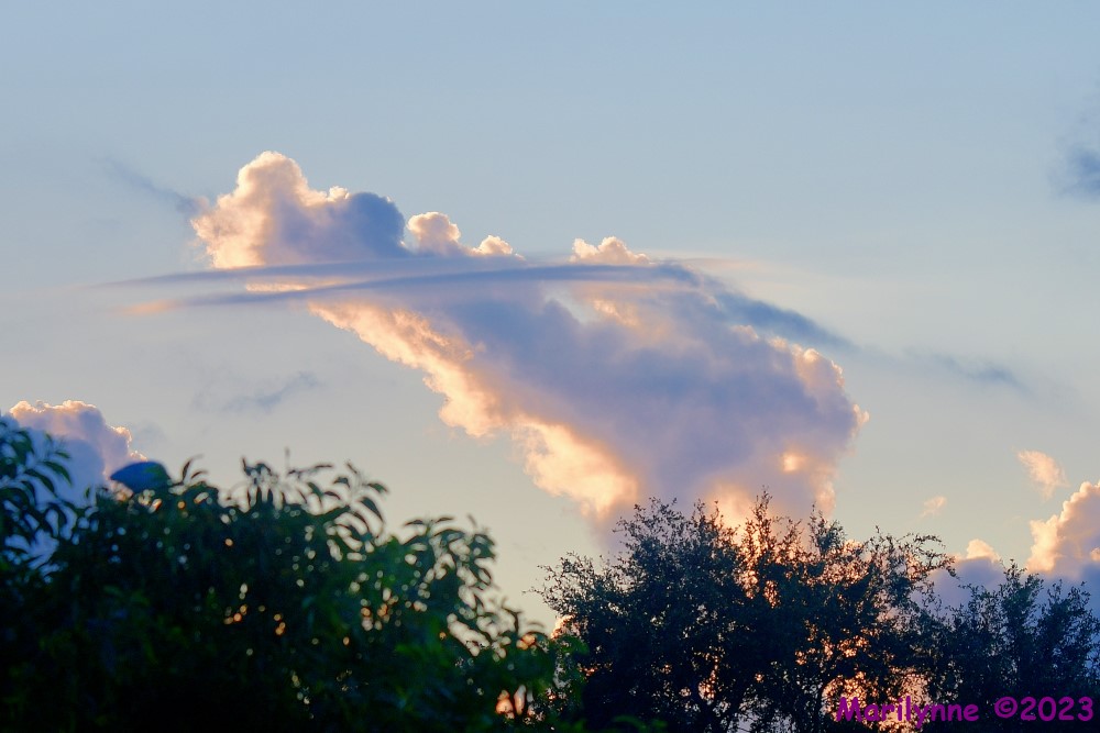 DSC_8019_001.JPG