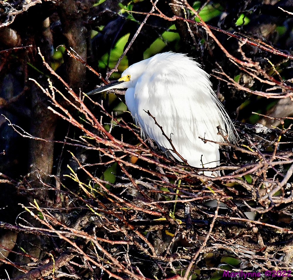 DSC_8022_001.JPG