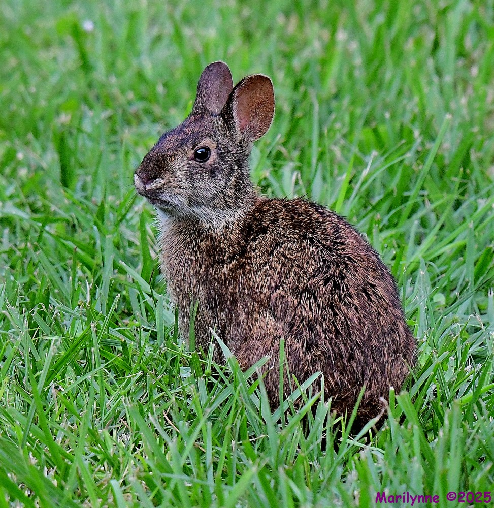 DSC_8023_001.JPG