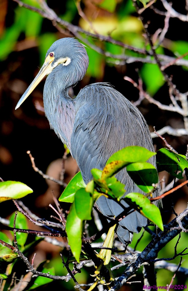DSC_8024_001.JPG