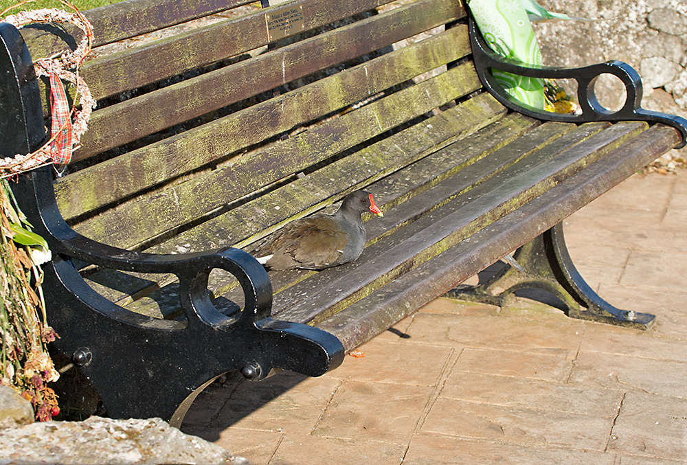 DSC_8026.jpg