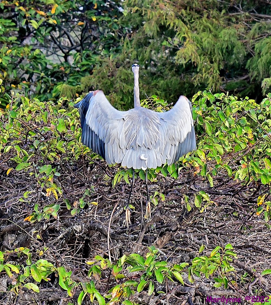 DSC_8028_001.JPG