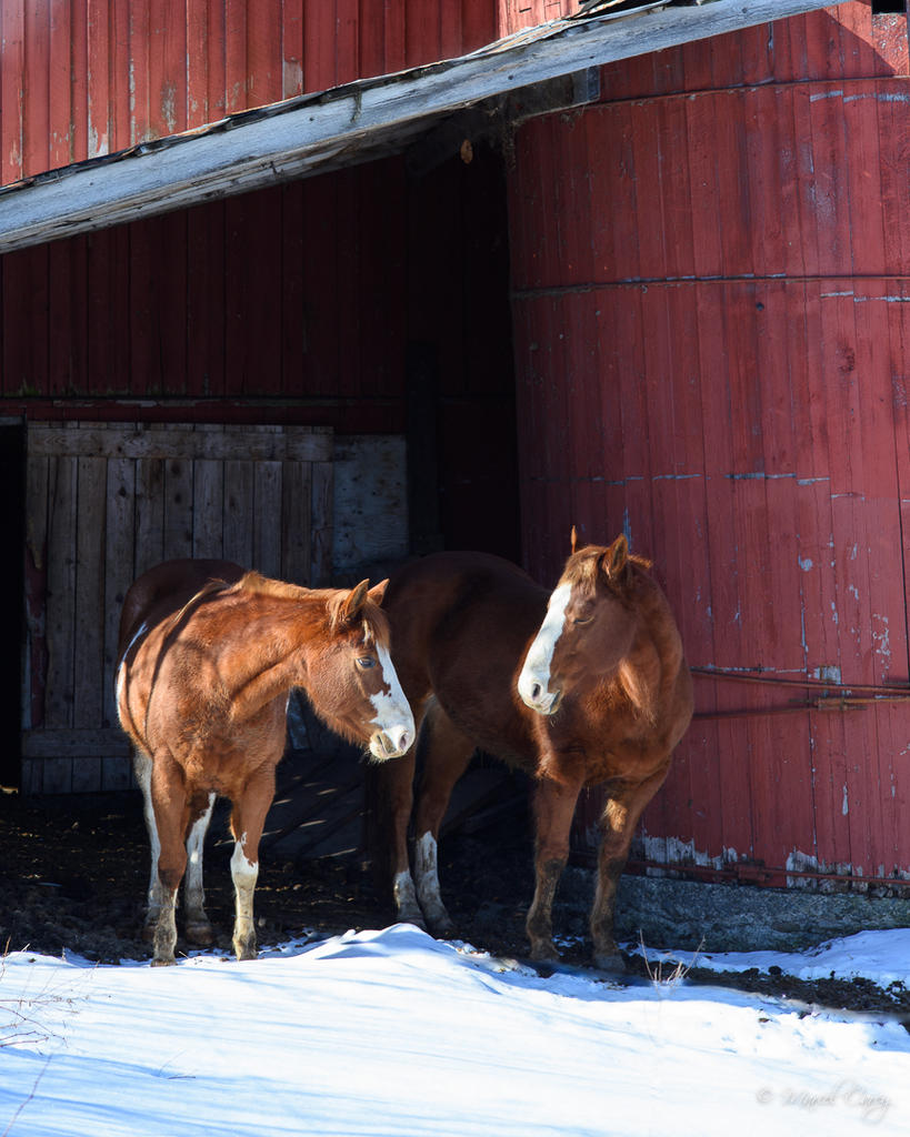 DSC_8029.jpg