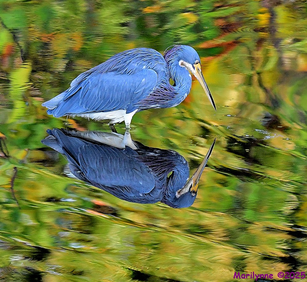 DSC_8030_001.JPG