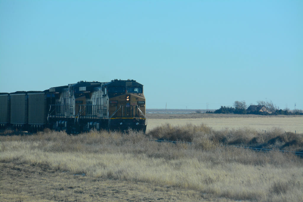 DSC_8033.jpg