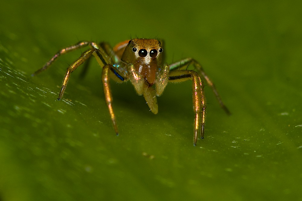DSC_8040.jpg