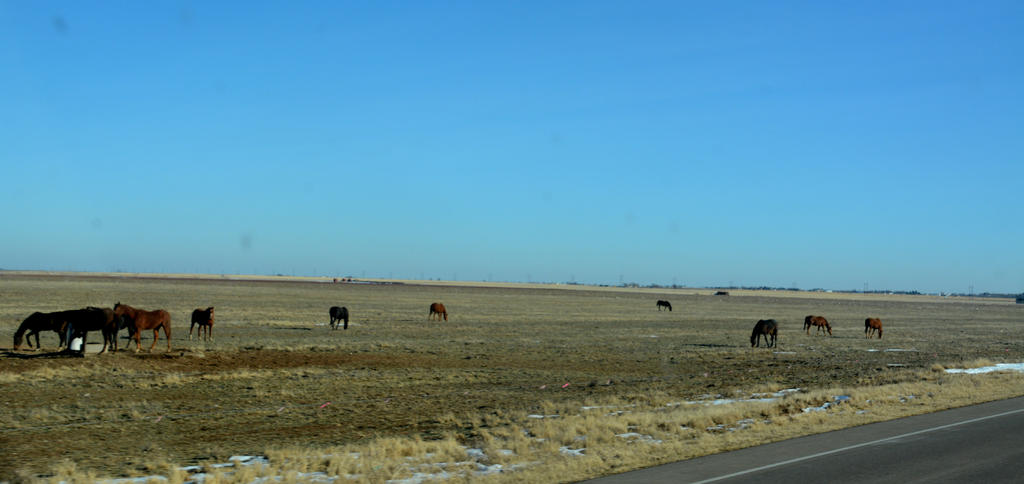 DSC_8044.jpg