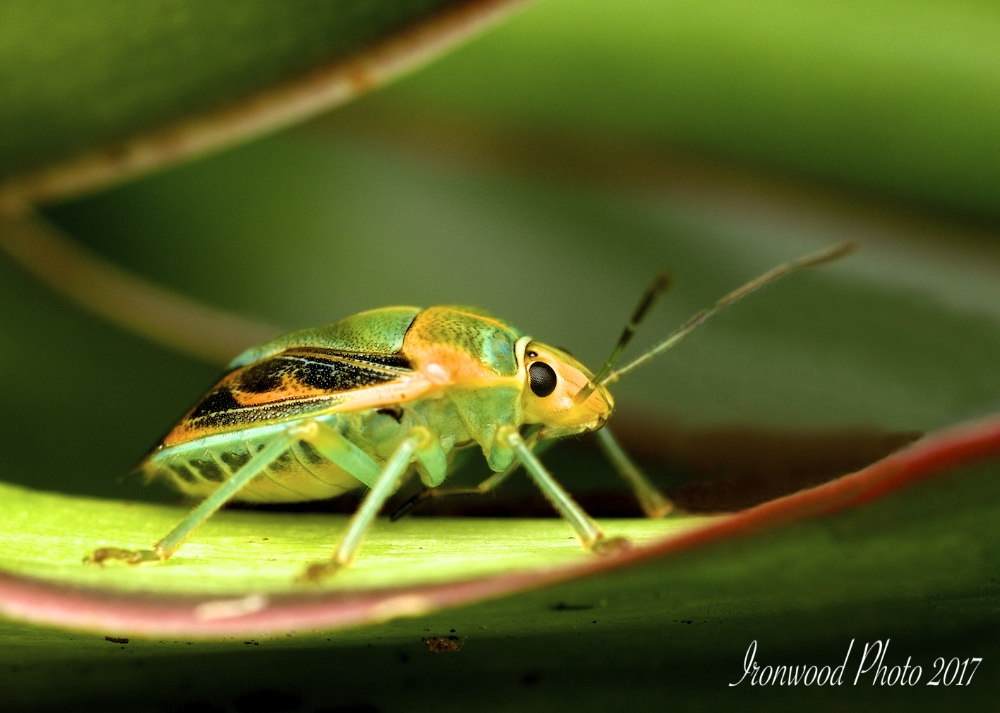 DSC_8046.jpg