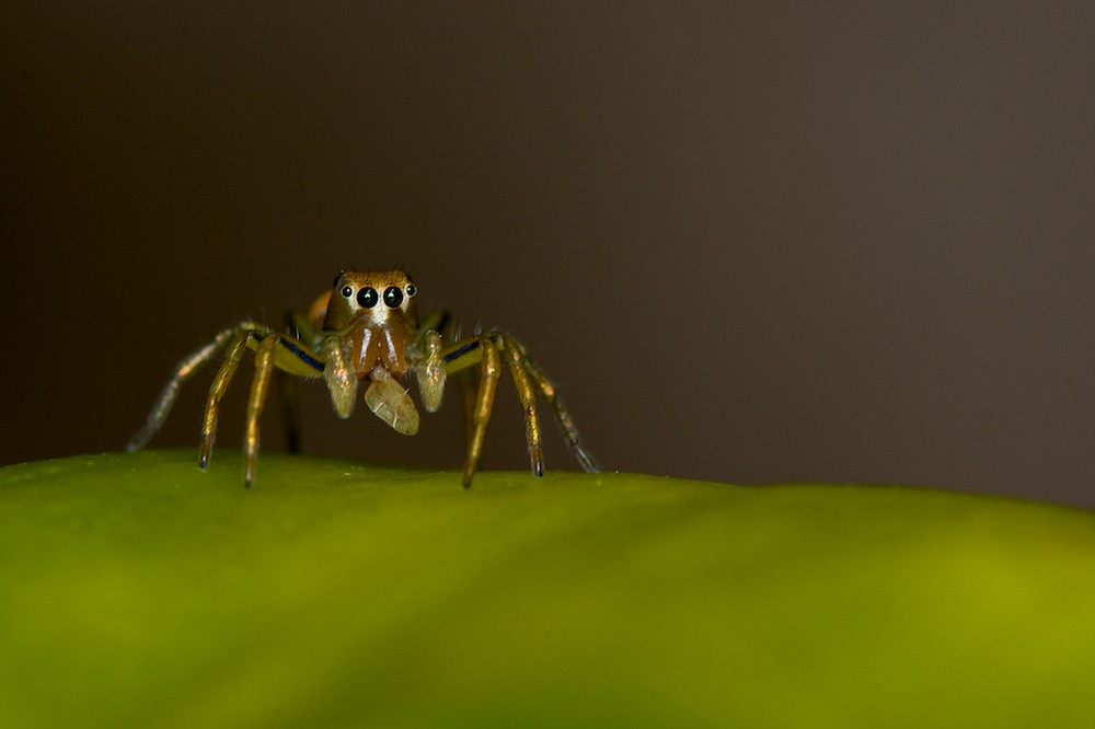 DSC_8049.jpg