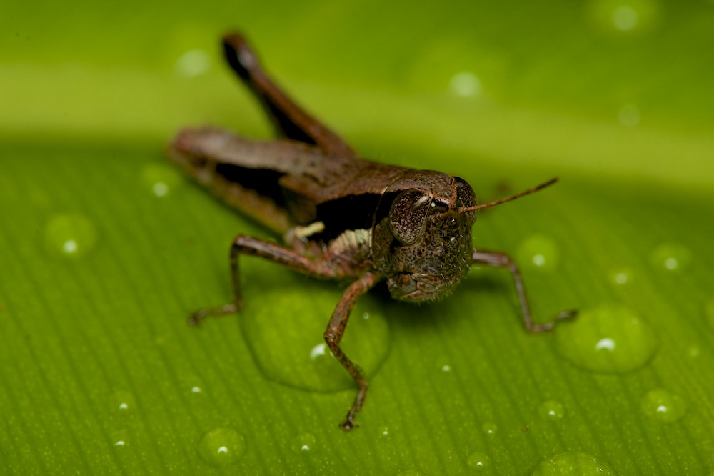 DSC_8052.jpg