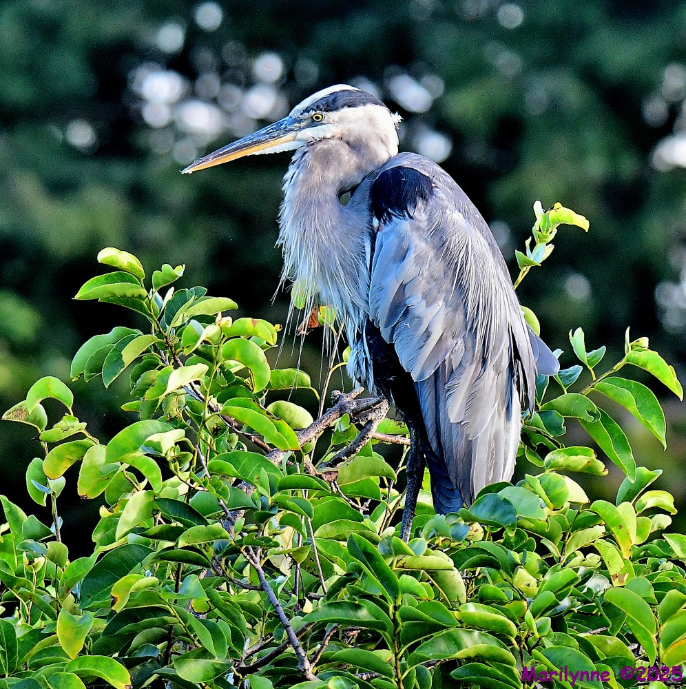 DSC_8054_001.JPG