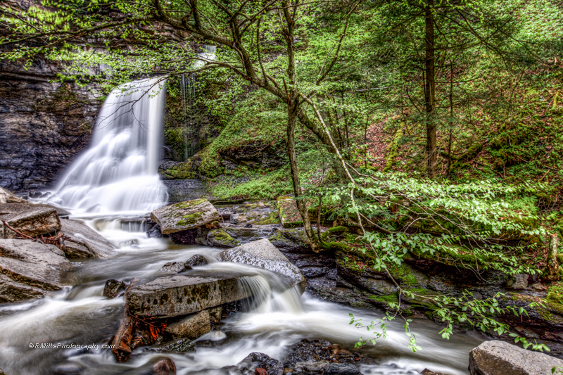 DSC_8055_10557_tonemapped.jpg