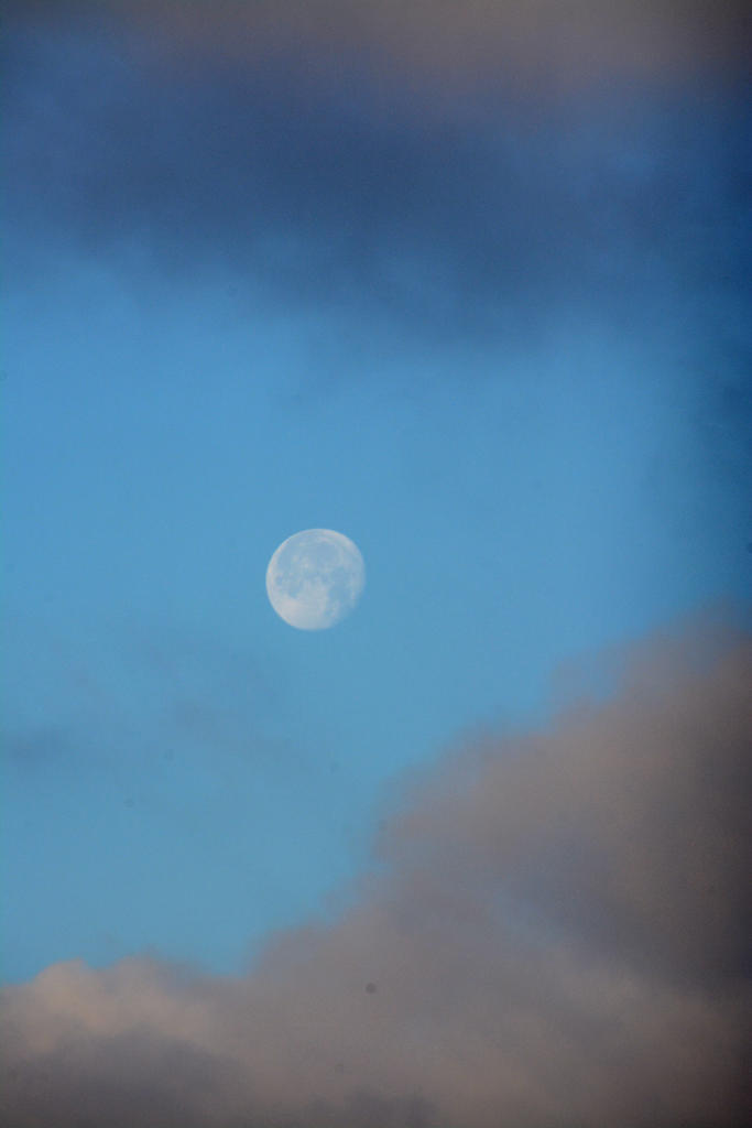 DSC_8057.jpg