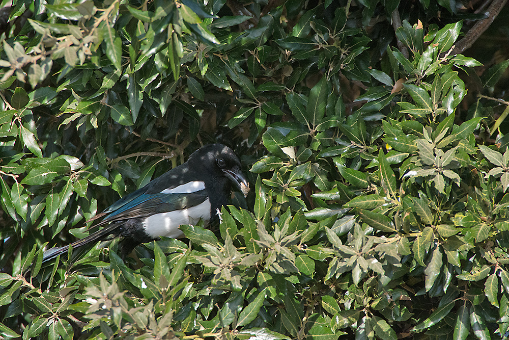 DSC_8058.jpg