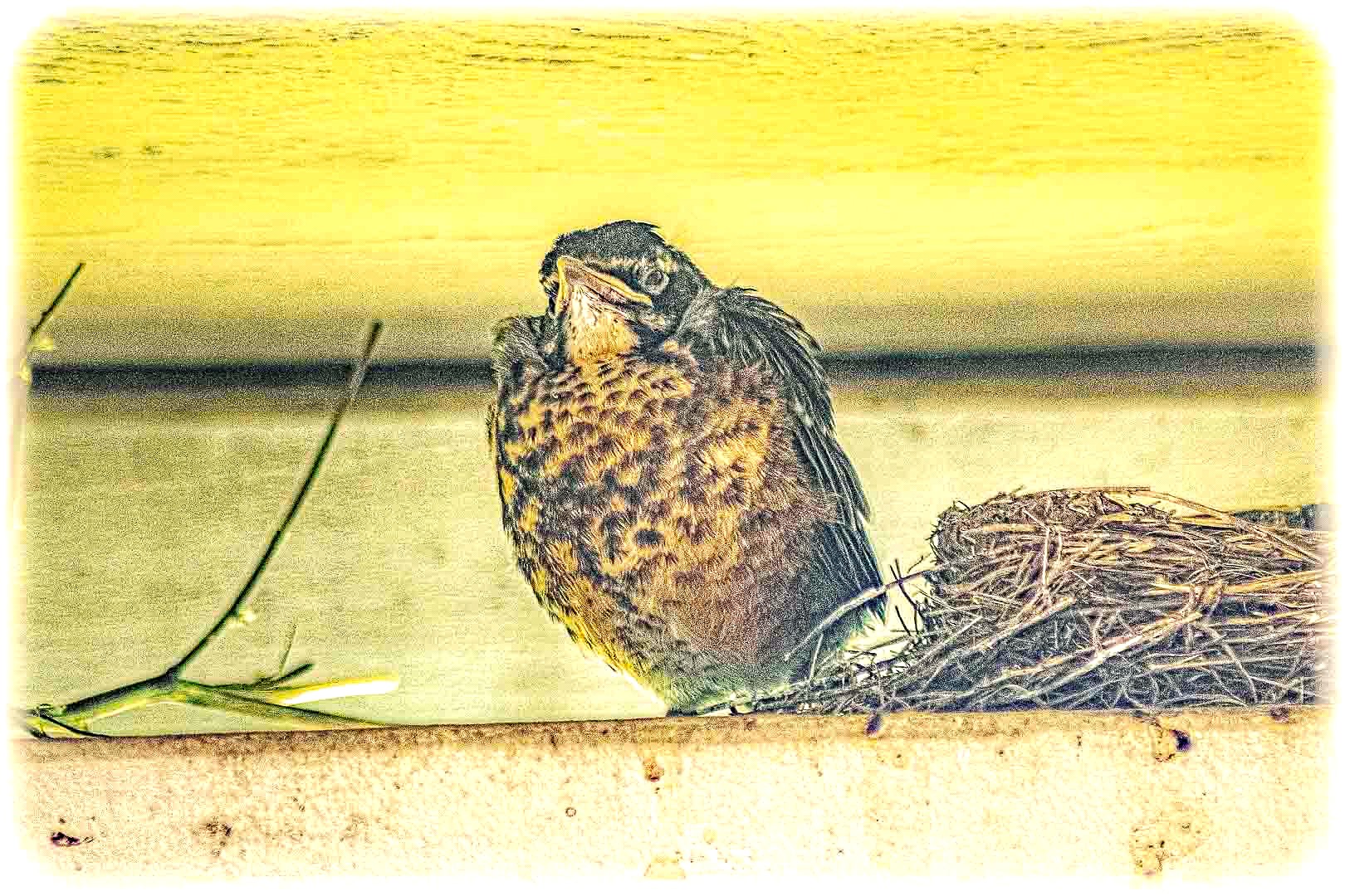 DSC_8059-HDR-Edit.jpg