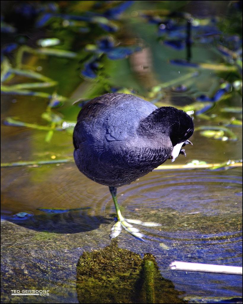 DSC_8059.jpg