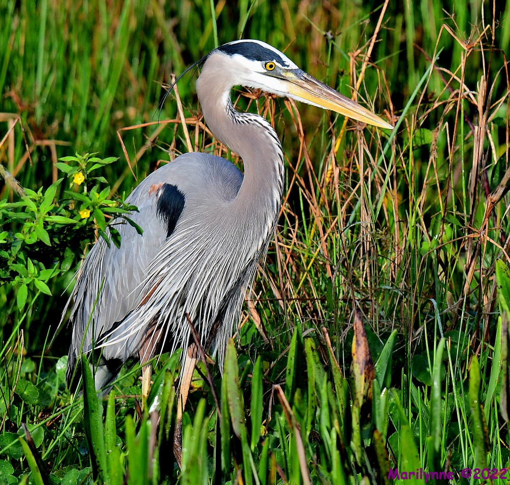 DSC_8059_001.JPG