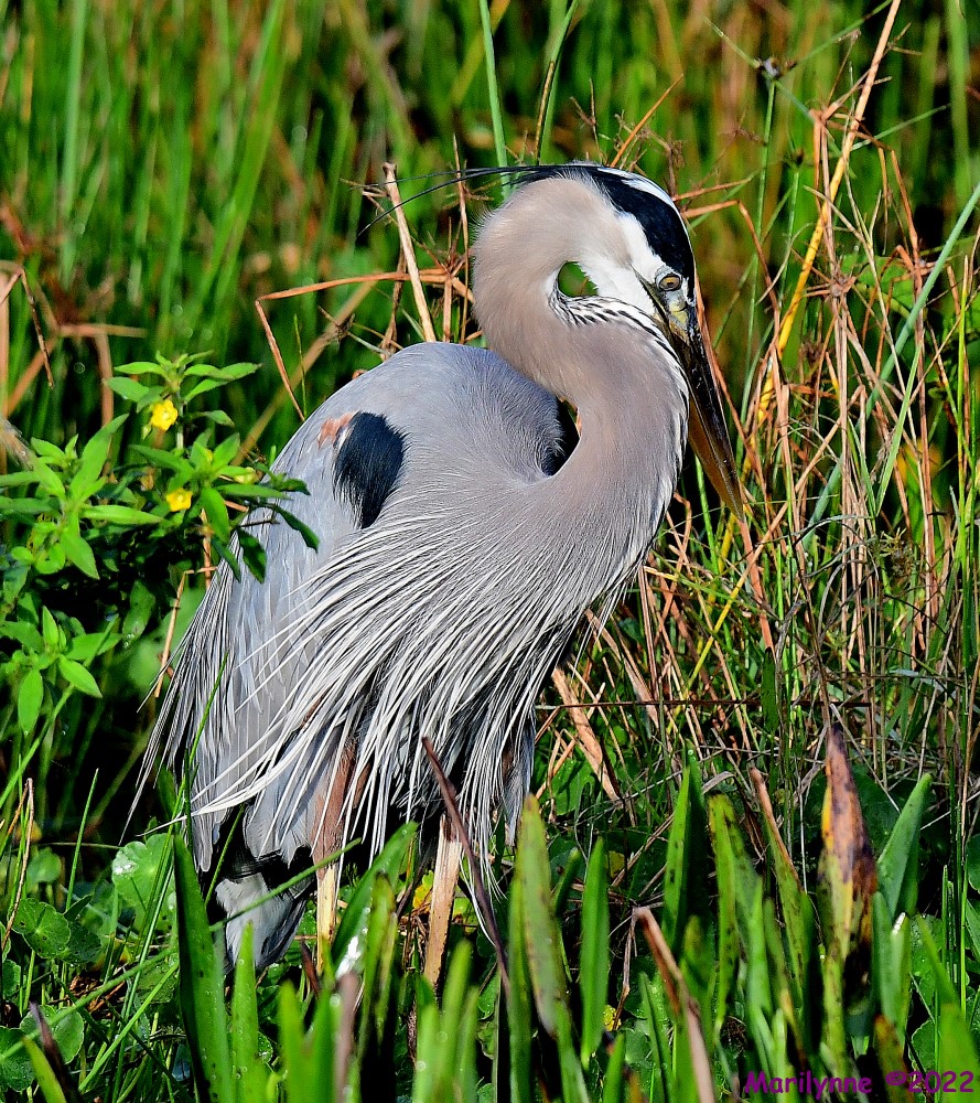 DSC_8062_001.JPG