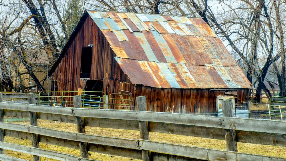 DSC_8064.jpg