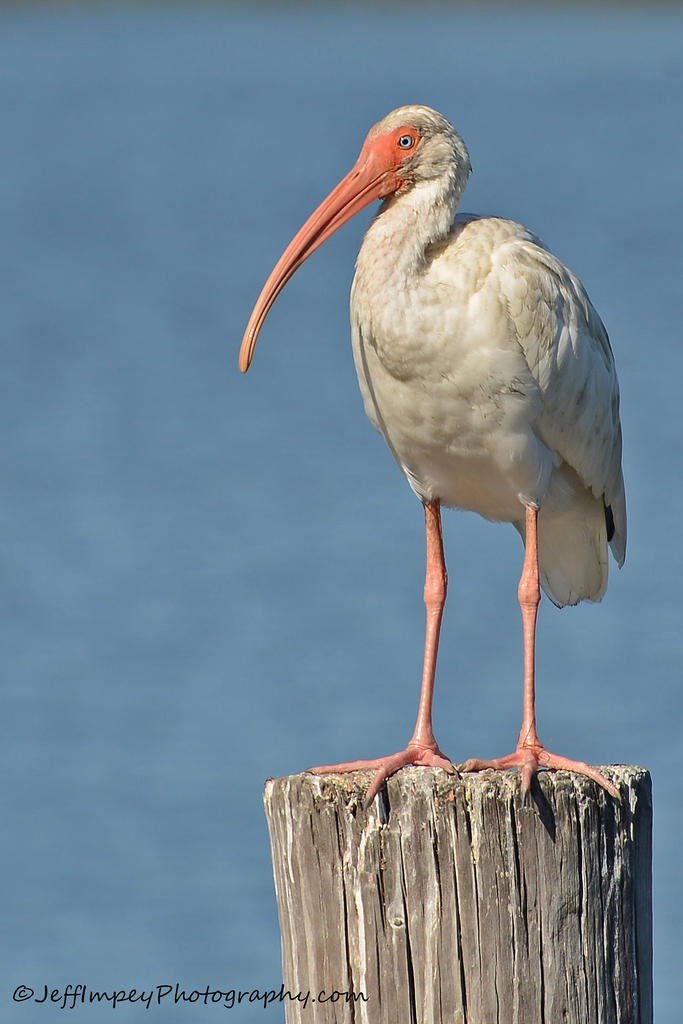 DSC_8065.jpg