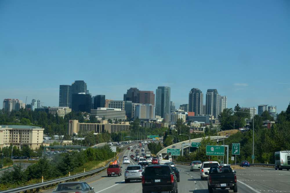 DSC_8065_01.JPG