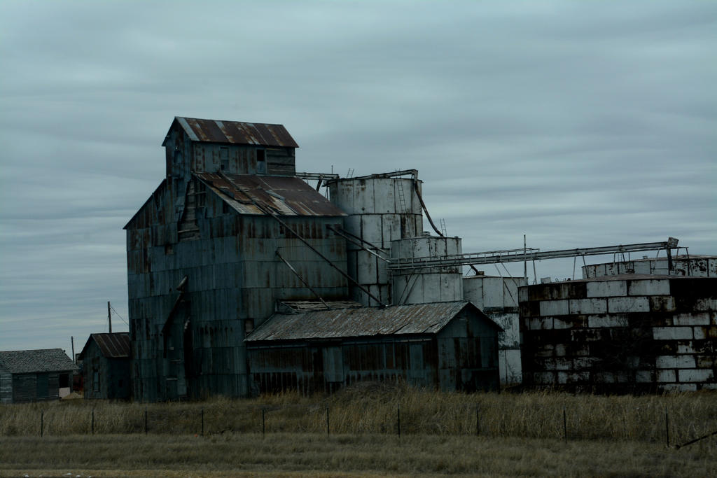 DSC_8067.jpg