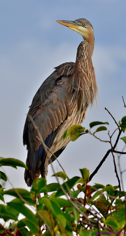 DSC_8069_001.JPG