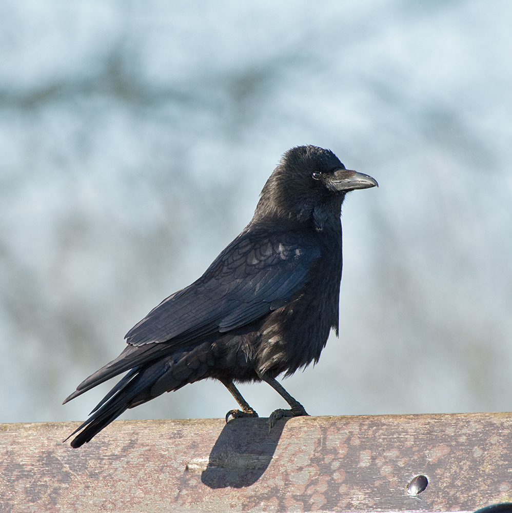 DSC_8075.jpg