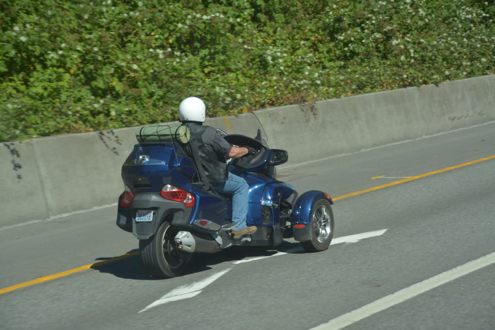 DSC_8078.JPG