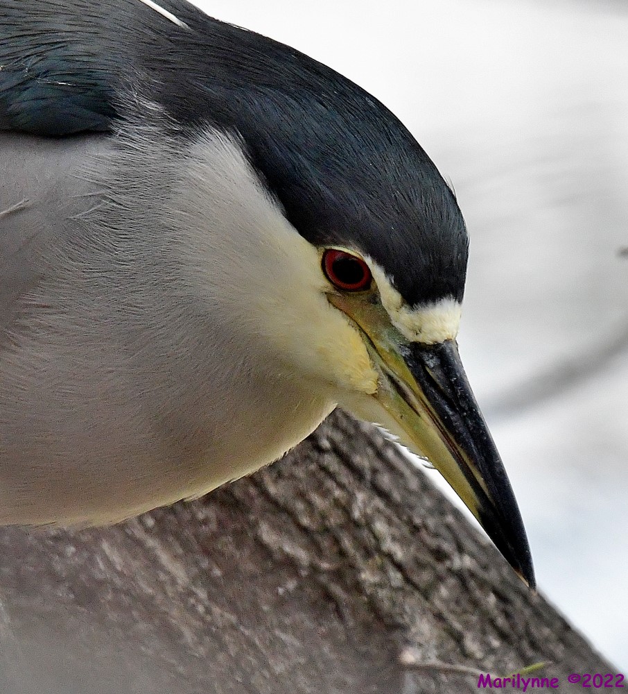 DSC_8080_001.JPG