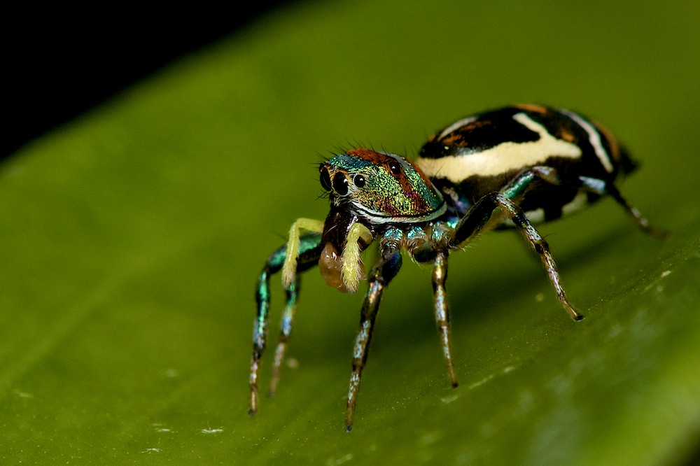 DSC_8082.jpg