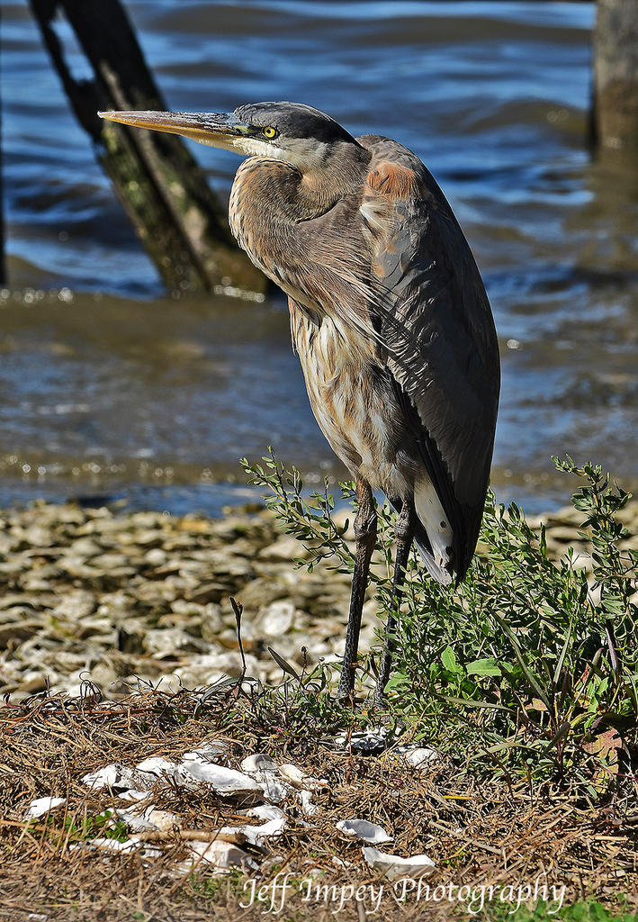 DSC_8084.jpg