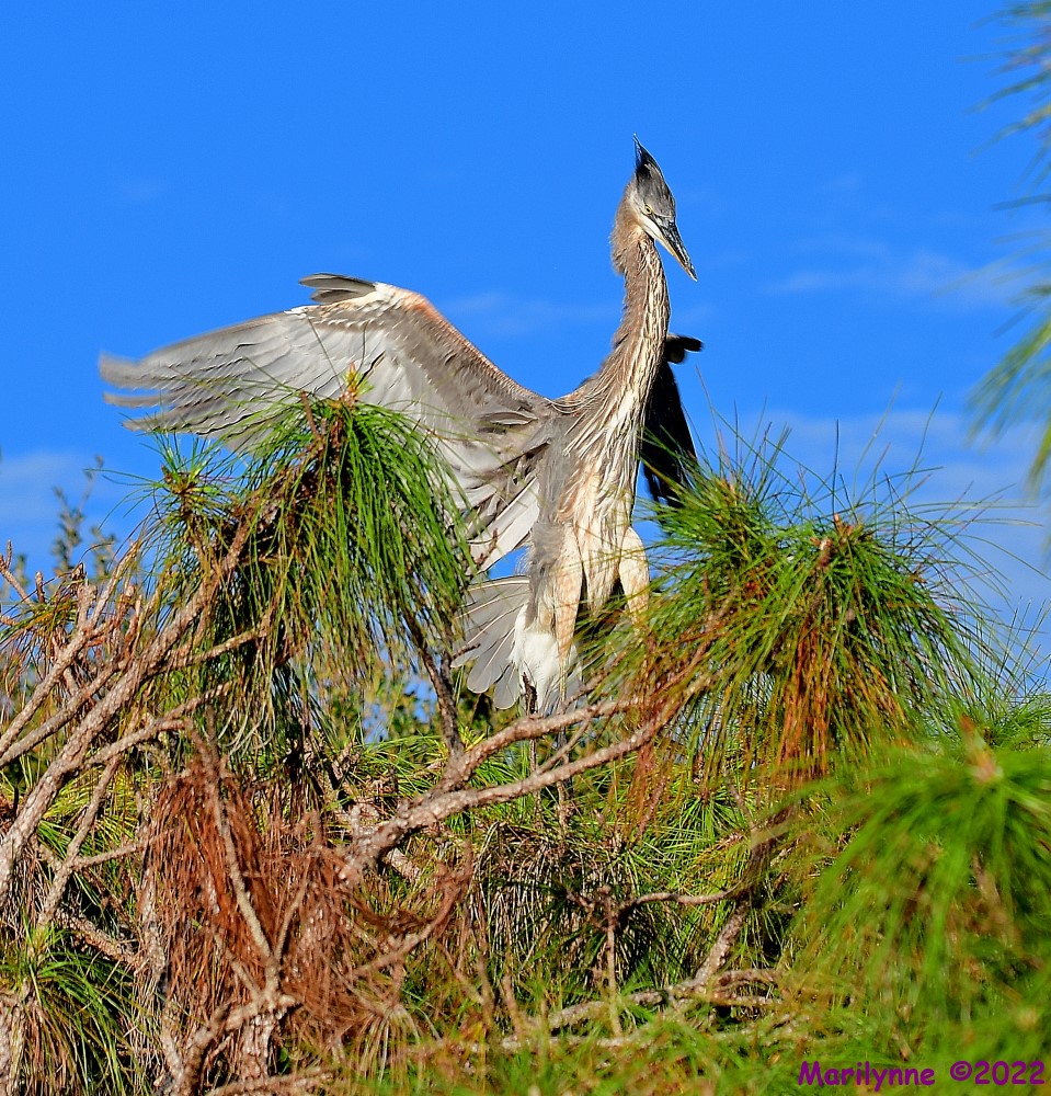 DSC_8088_001.JPG