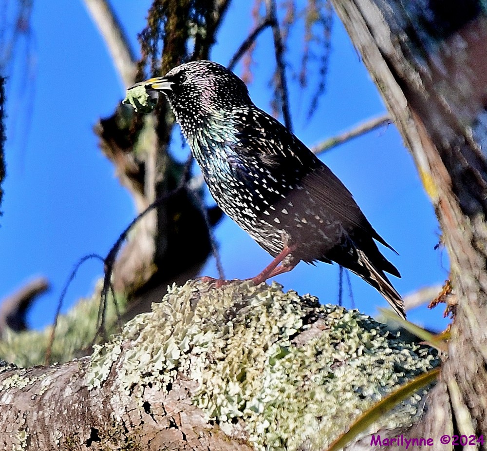 DSC_8089_001.JPG