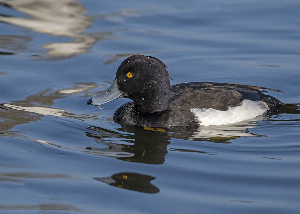DSC_8092.jpg