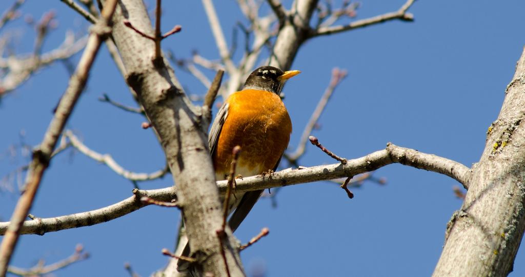 DSC_8100.jpg