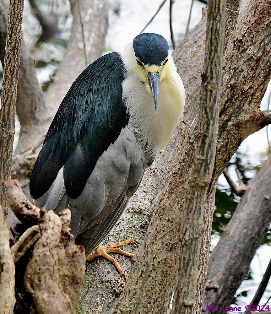 DSC_8100_001.JPG