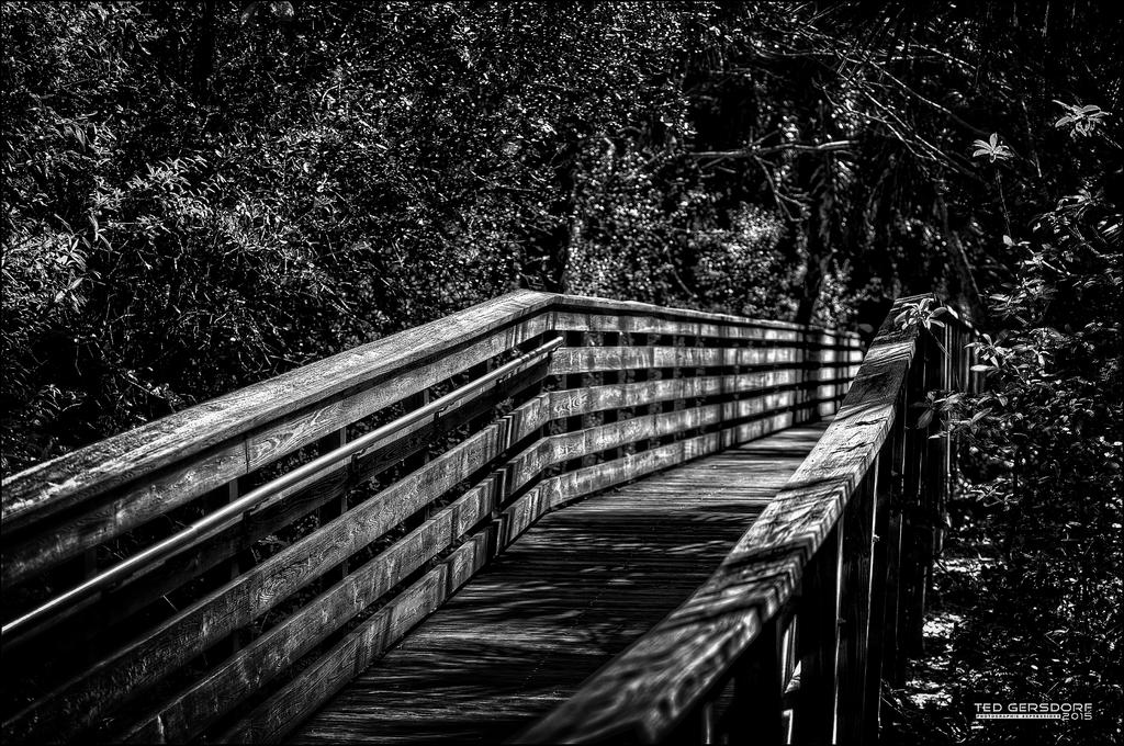 DSC_8113bw.jpg