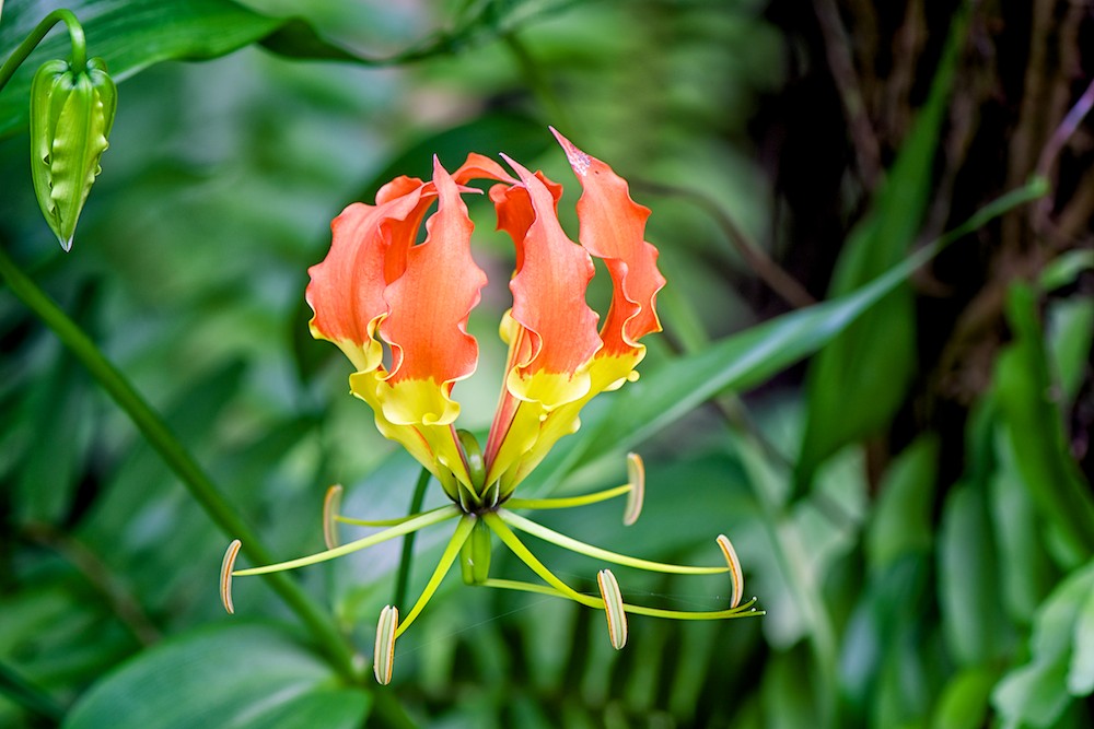 DSC_8118.jpg