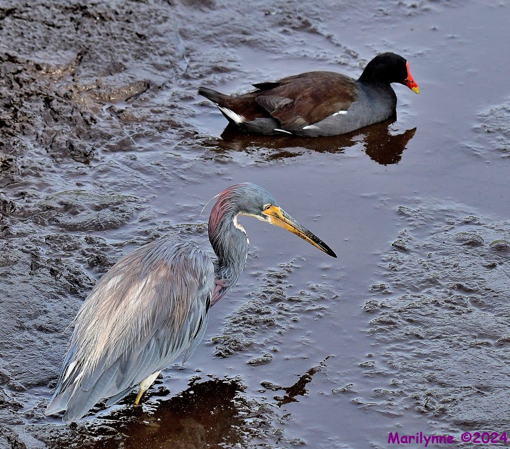 DSC_8119_001.JPG