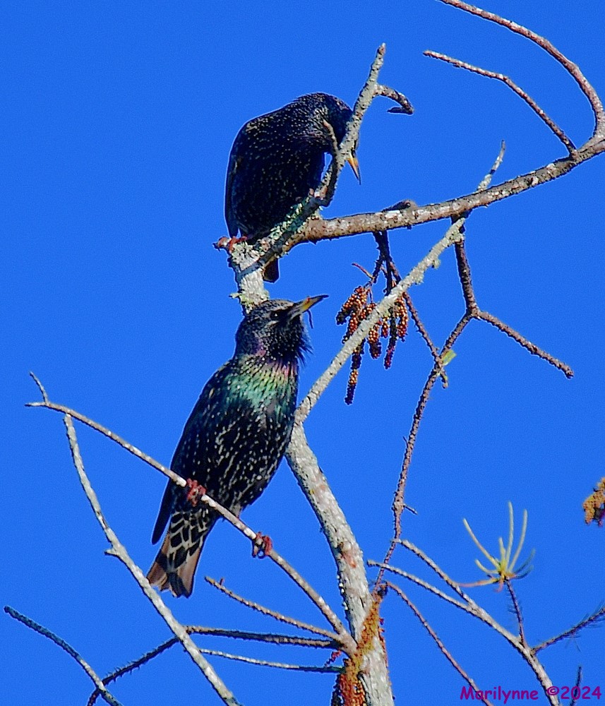 DSC_8120_001.JPG