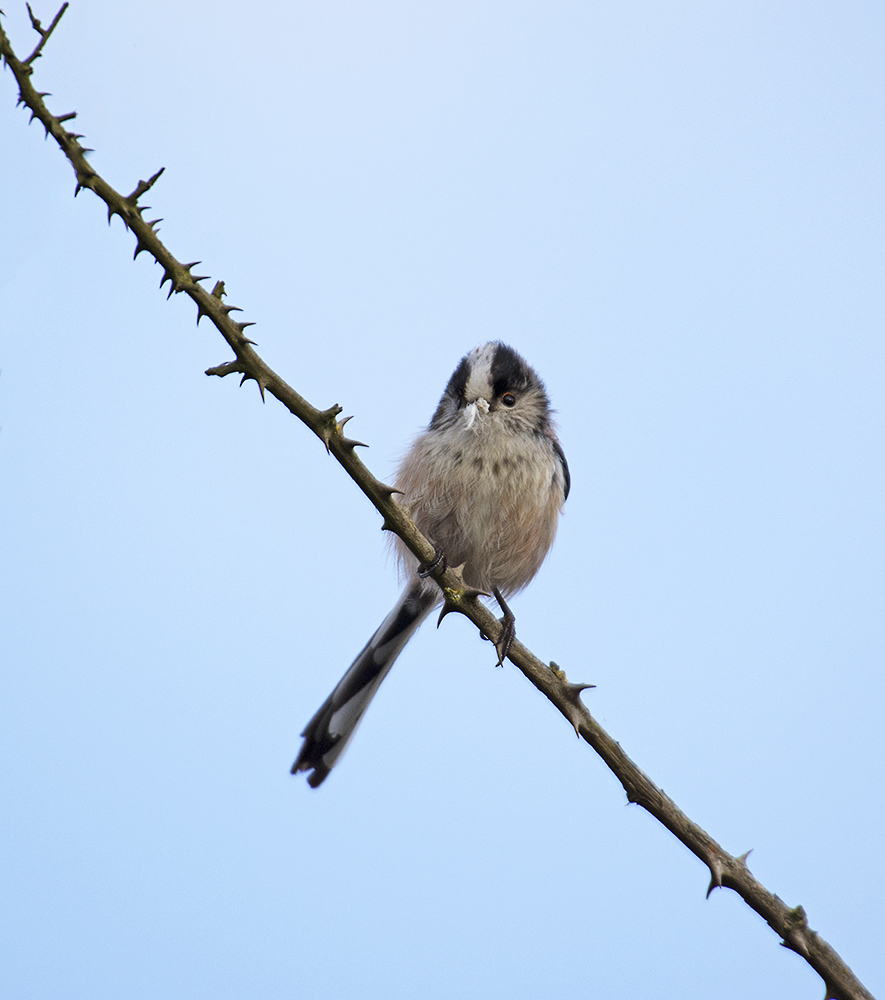 DSC_8122.jpg