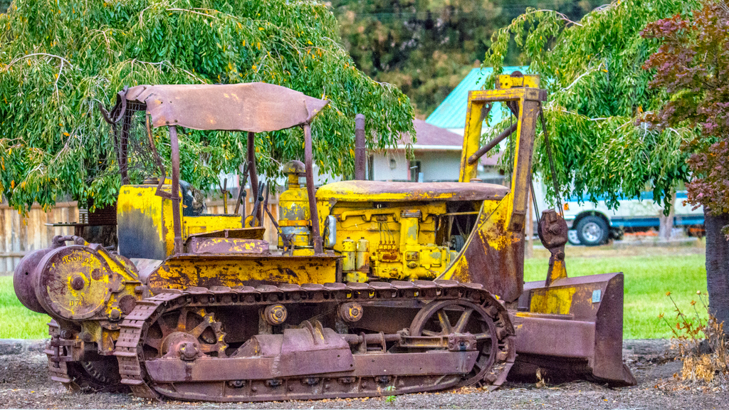 DSC_8130.jpg