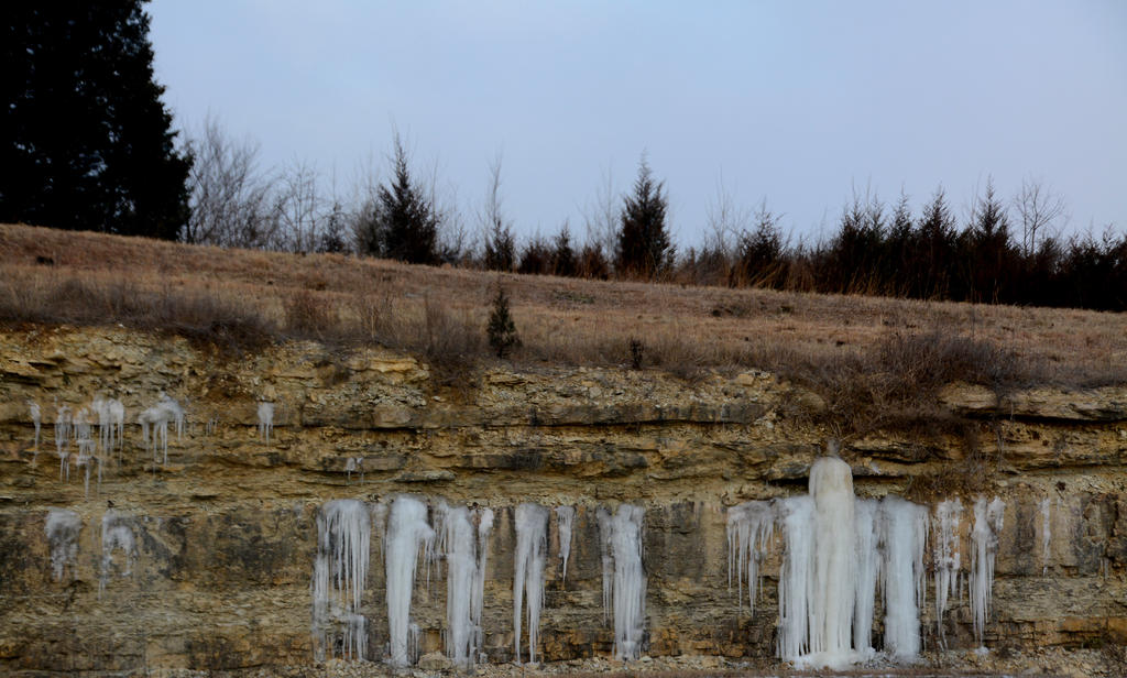 DSC_8135.jpg