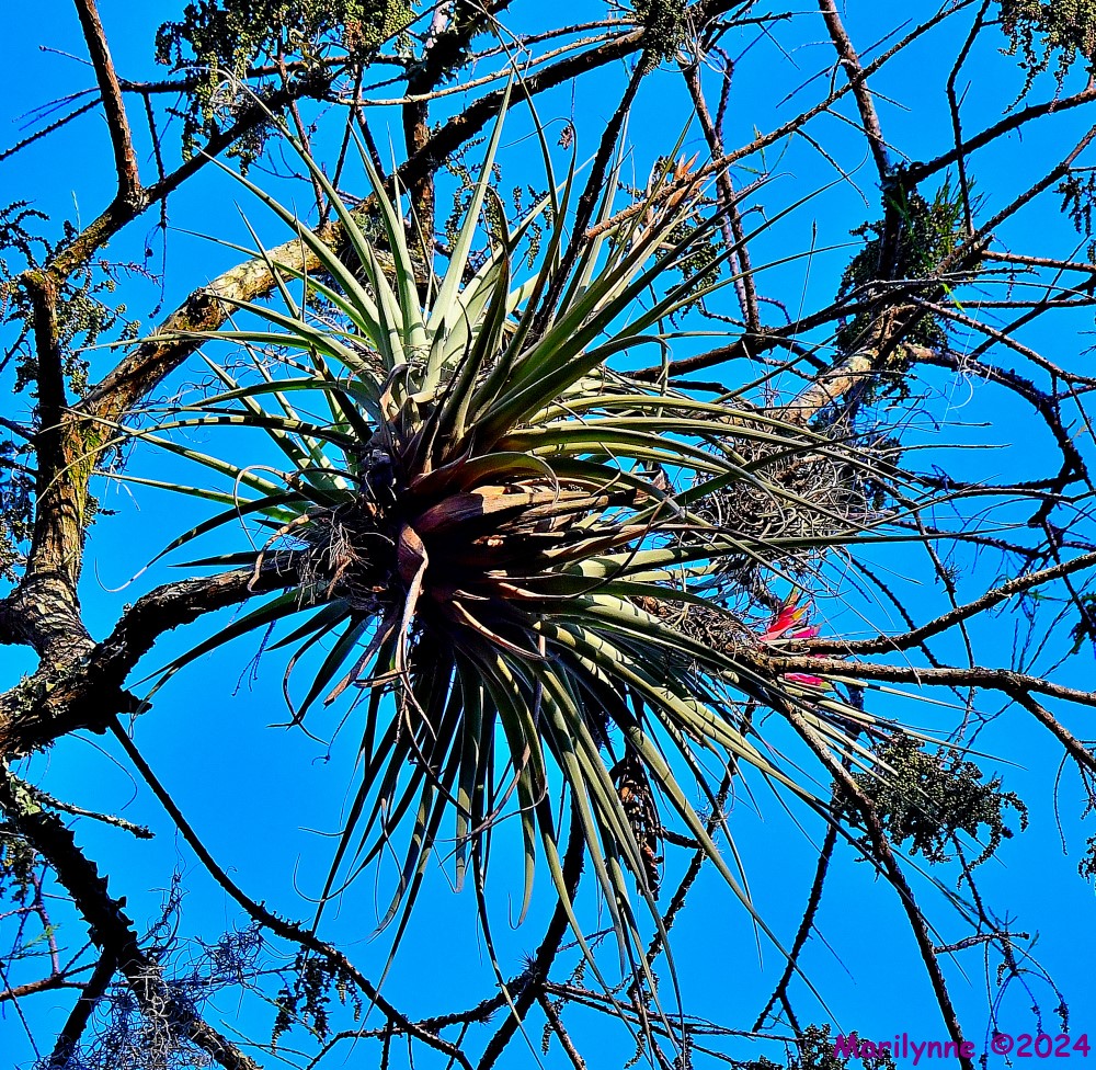 DSC_8136_001.JPG