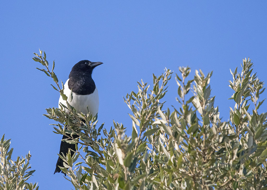 DSC_8139.jpg